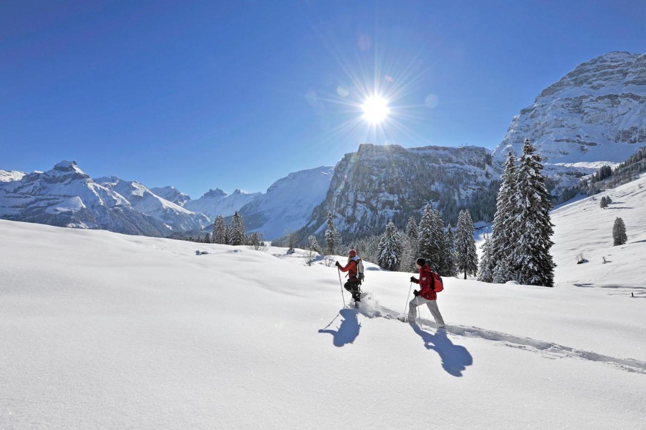 Hotel Terrace Engelberg Dış mekan fotoğraf