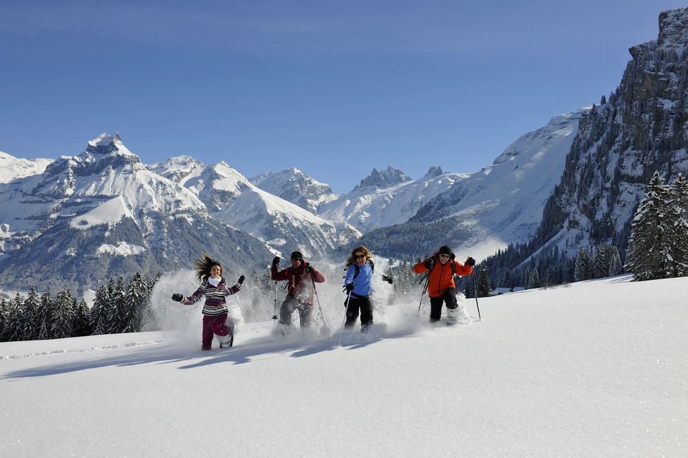 Hotel Terrace Engelberg Dış mekan fotoğraf